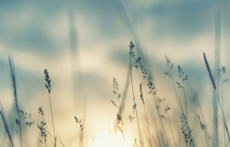 About - 地球の未来を考えた住まい